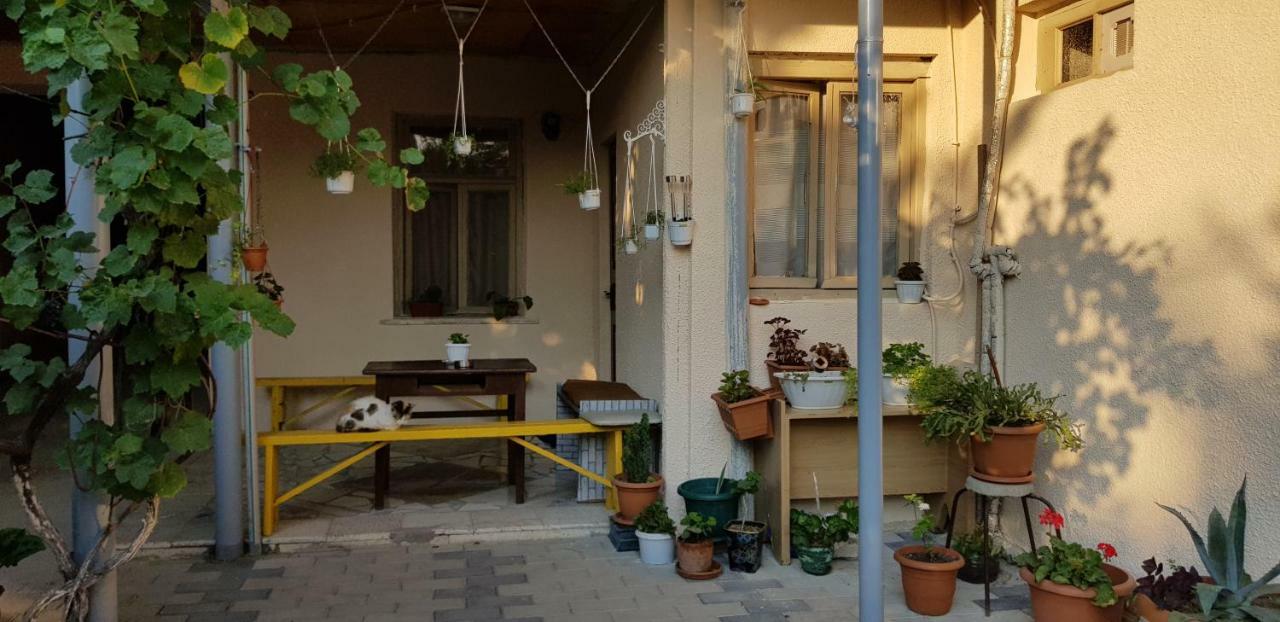 Домик У Реки Куры Tiflis Exterior foto
